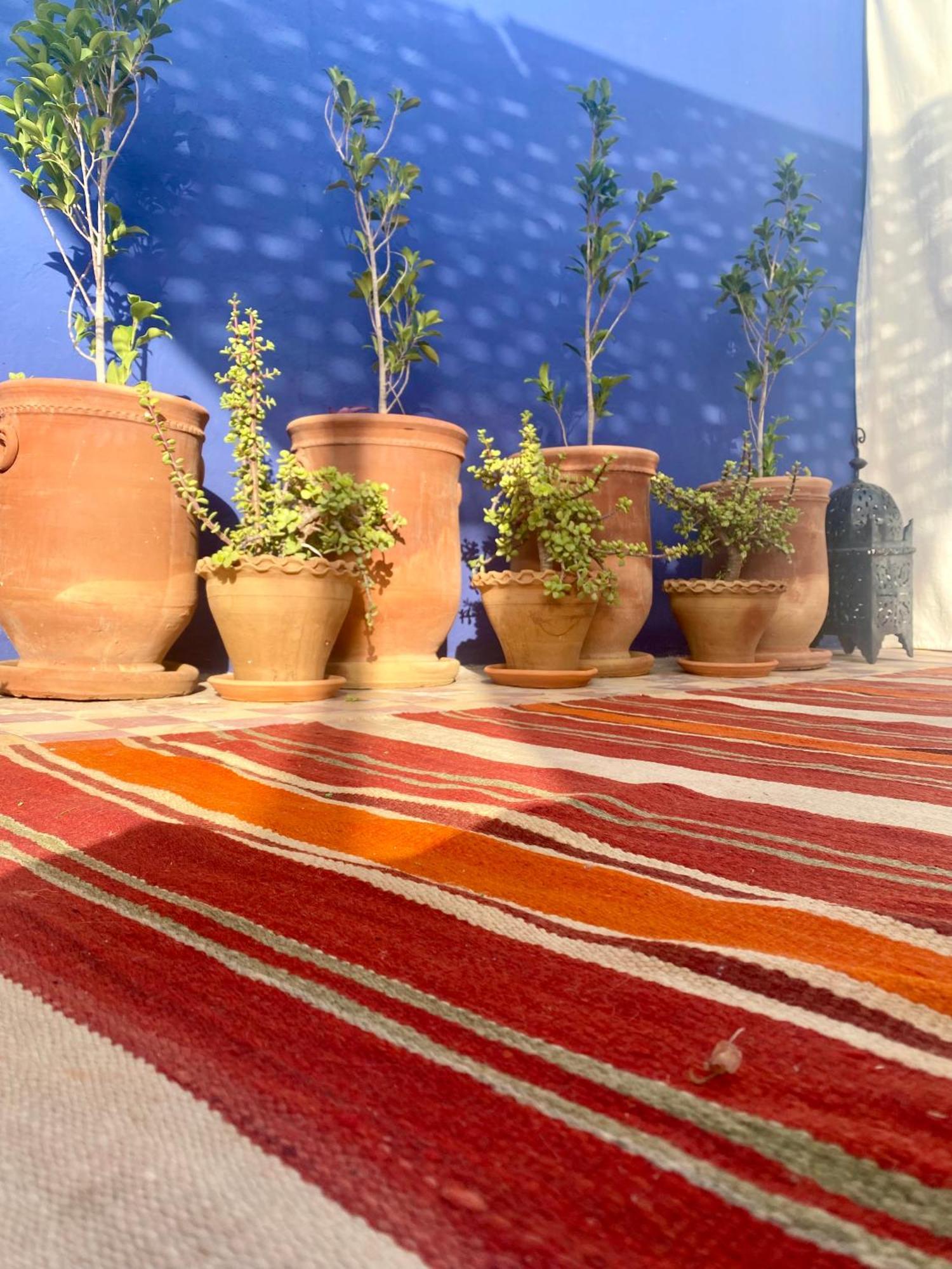 Riad La Perle De Bacha Марракеш Екстер'єр фото